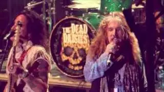 The Dead Daisies - 