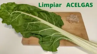 Como LIMPIAR ACELGAS 🥬 | preparadas para cocinar o congelar