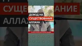 Довод на существование Всевышнего Аллаха #Shorts Сирадж Абу Тальха