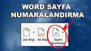 WORD PAGE NUMBERING - Adding Page Numbers in WORD