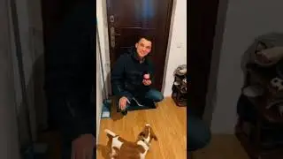 Кнопка Гулять