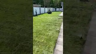Укладка рулонного газона 