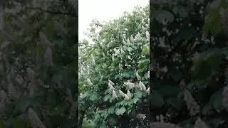 17 мая 2021 г.