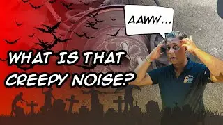 What's Causing That Annoying Car Noise and How to Fix It Fast?