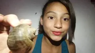 Minha coleção de conjinhas
