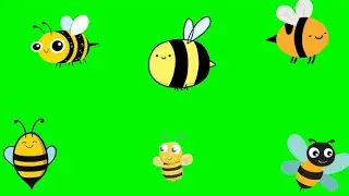 Bees Green Screen Animeted