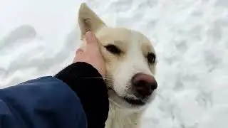 Один зимний день на даче / Все было по-другому /