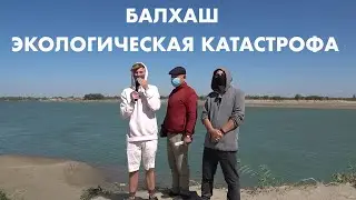 КТО СПАСЕТ РЕКУ IЛЕ И БАЛХАШ? НАДЕЖДА НА ТОКАЕВА