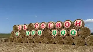 Миллион тонн зерна: Первый регион в числе лидеров по уборке зерновых