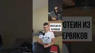 Протеин делают из червей?  