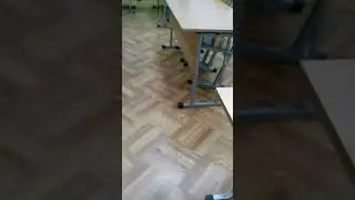 В школе