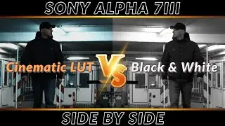 𝐒𝐨𝐧𝐲 𝐀𝐥𝐩𝐡𝐚 𝟕 𝐈𝐈𝐈 - Side By Side - Cine Lut vs. Black & White