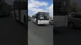 респект водителю  побибикал