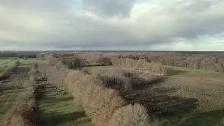 Stroomdallandschap De Drentsche Aa (natuurgebied Dijkveld)