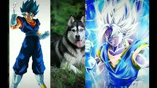 Vegetto blue vs vegetto ultra instinto