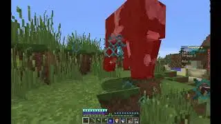 TromiVaro 8 #12