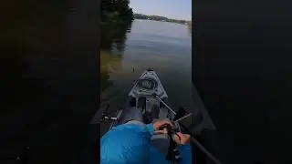 Putting the Work in on Labor Day! 👊🏻👍🏻 #shorts #kayakfishing #topwaterbassfishing