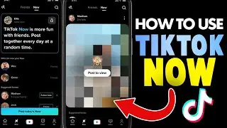 How To Use The 