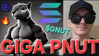 $GNUT - GIGA PNUT TOKEN CRYPTO COIN HOW TO BUY GIGACHAD PEANUT SQUIRREL MEMECOIN GNUT SOLANA RAYDIUM