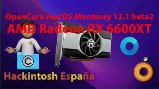 Hackintosh. AMD Radeon RX 6600 xt compatible con macOS Monterey 12.1 beta2