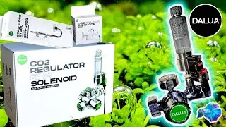 EASY CO2 SETUP FOR PLANTED AQUARIUM! DALUA Regulator + Solenoid Install!