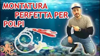 MONTATURA PER POLPI