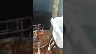 El mejor ejercicio para cer piernas amigas