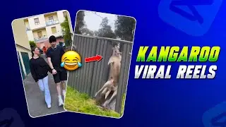 Capcut Viral Kangaroo Reels Editing 😂🤣