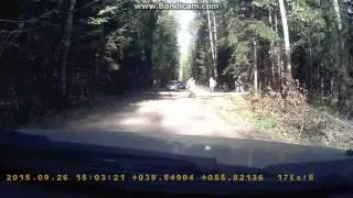 Дерево перегородило дорогу