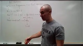 Electrolyte regulation