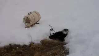 Охота на 
