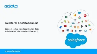 Work with Live Oracle NetSuite Data in Salesforce (via Salesforce Connect) | Connect Cloud