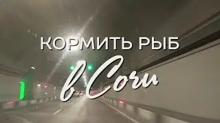 SouthTrip Sochi