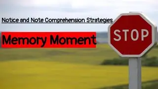 Memory Moment  Notice and Note