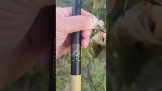 Tenkara Rod Co BearTooth Bass #shorts