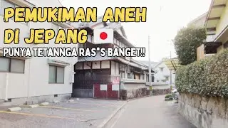 STRANGE‼️LIVING IN JAPAN BUT NEIGHBORS ARE RACIST / WALKING IN THE JAPANESE RURAL 🇯🇵