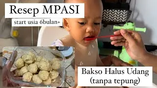 🔴 Resep MPASI Bakso Halus Udang ( Tanpa Tepung ) | Resep Olahan Udang | MPASI Olahan Udang