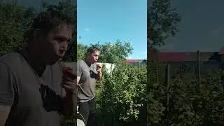 17 августа 2024 г.