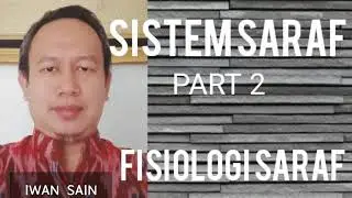 Sistem Saraf Part 2