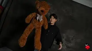 Osito Teddy   Bond Lee