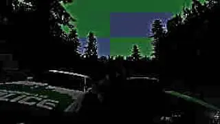 wry path