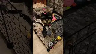 Наша малыха😊