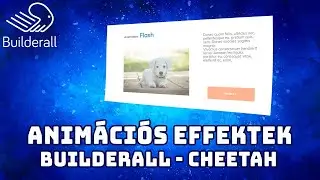 Fantasztikus animációs effektek - Builderall Cheetah webszerkesztő 🏵