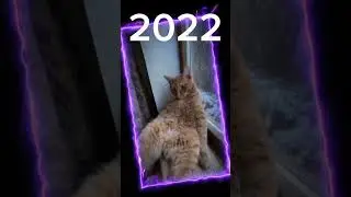 прощай симбочка младший 😔😔😔