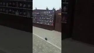 Goranboy rayonun qehraman şehidleri. Allah rehmet elesin.