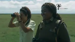 WILDLIFE DIRECT SHOWREEL