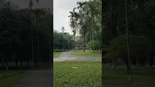 Cumilla BARD - Lush Greenery and Nature