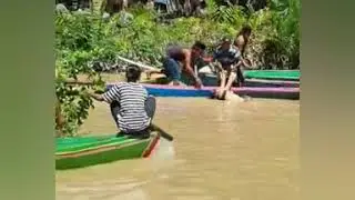 Detik detik penyelamatan wanita di sambar buaya kalimantan