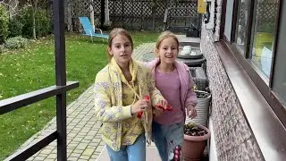 Едем в гости к друзьям Рецепт мандаринового торта пп на Новый год
