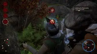 Dragon Age: Level 4, Archer